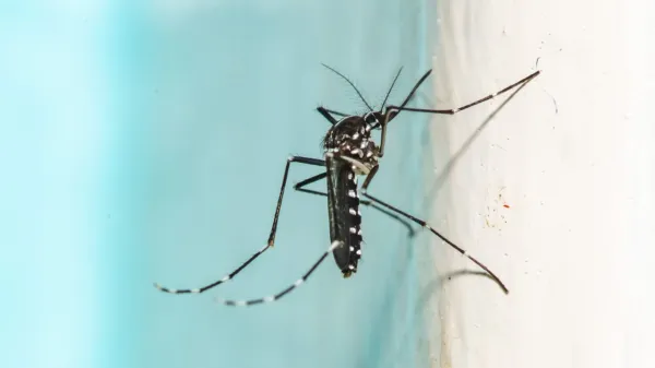 The 'ultimate mosquito killer' uses lasers and AI